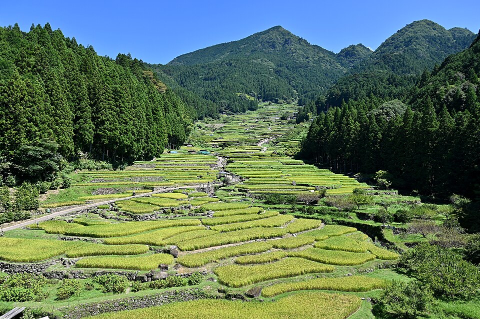 Terrazas de arroz de Yotsuya Senmaida