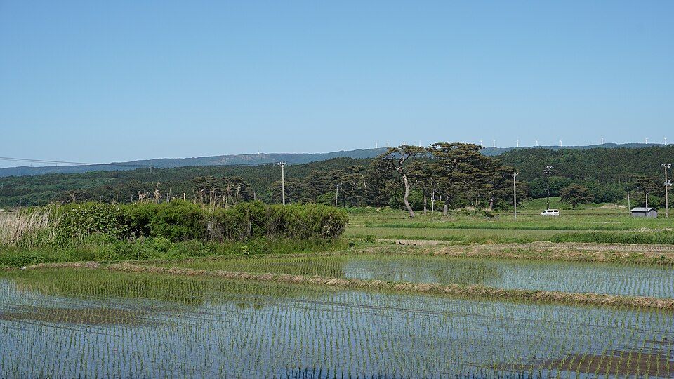 Kisakata Kujukushima