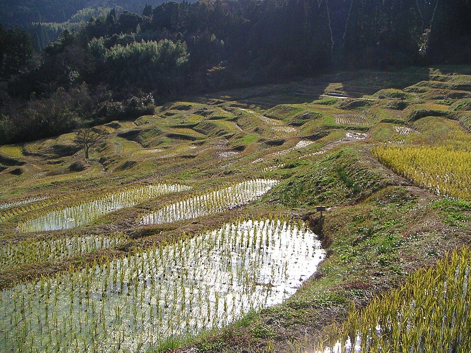 Oyama Senmaida Rice Terraces