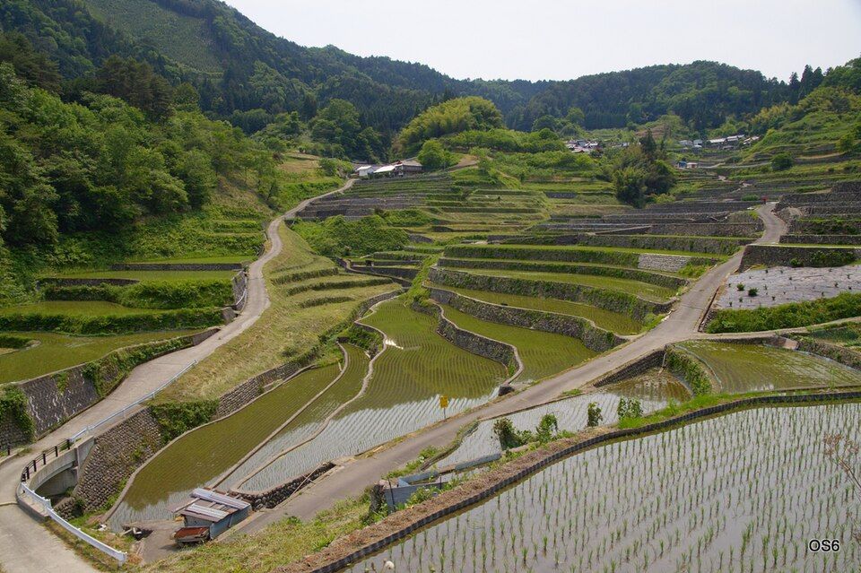 Ini Rice Terraces