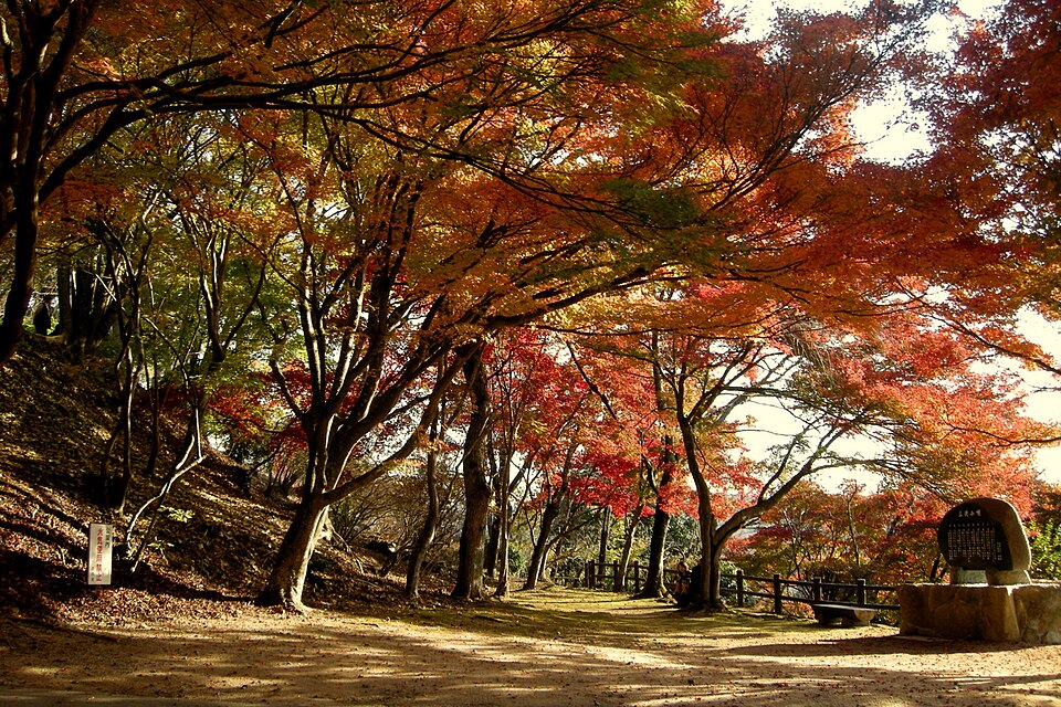 Parc d'Ozekiyama