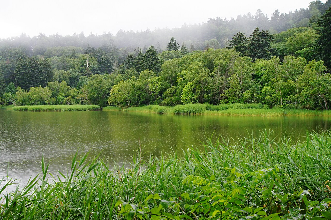 Himenuma Pond (Rishiri Island)