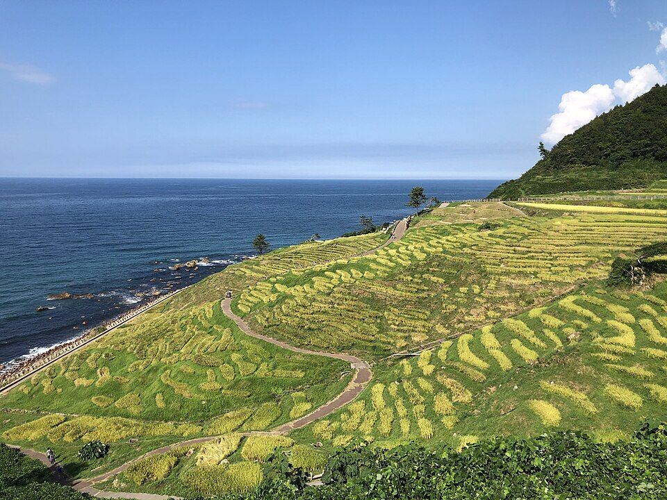 시로요네 센마이다