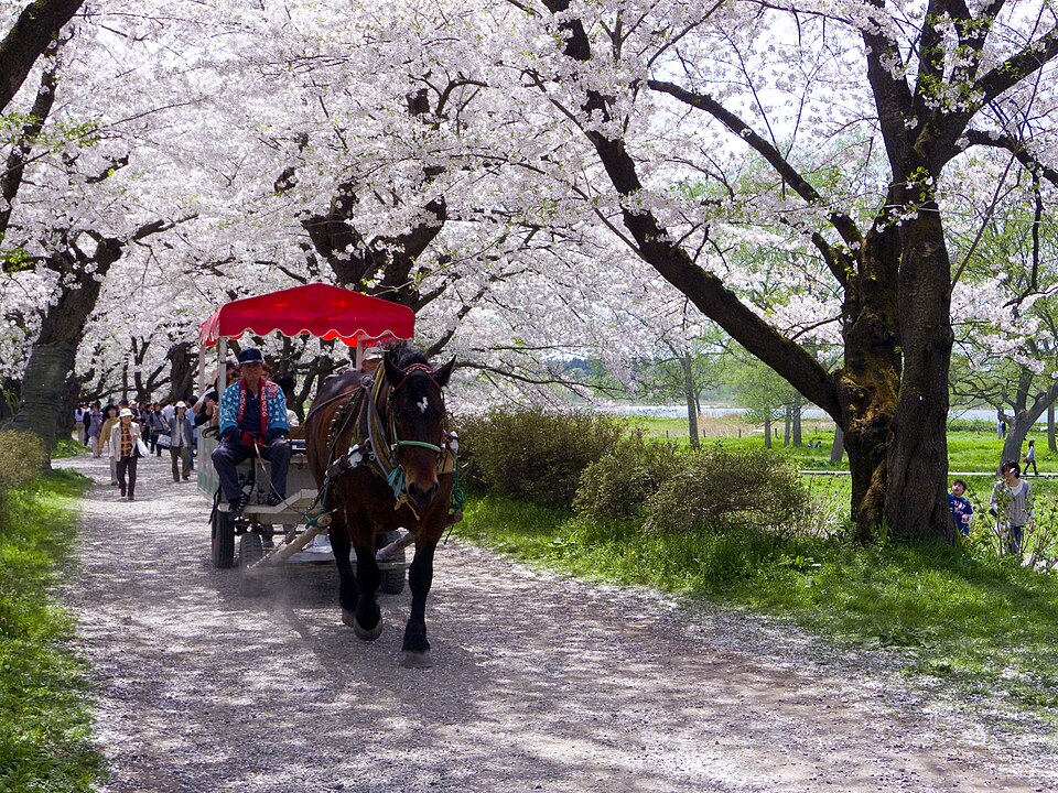 Tenshochi Park (Kitakami)
