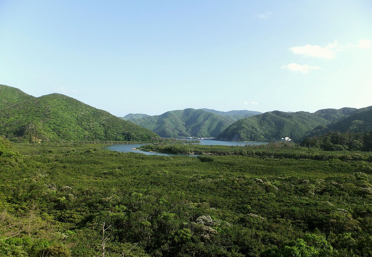 Amami Mangrove Park (Sumiyo)