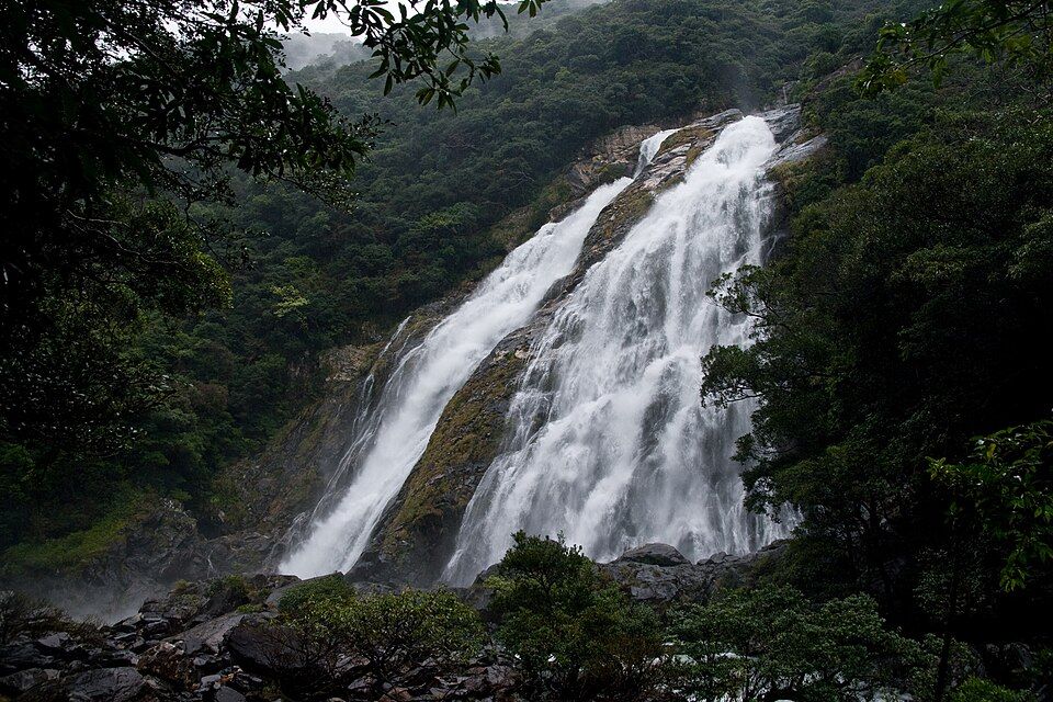 Okawa Falls (Yakushima)