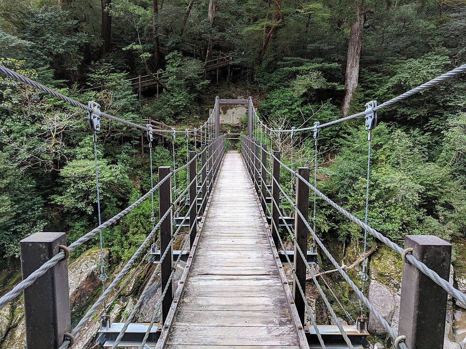 屋久杉樂園(屋久島)