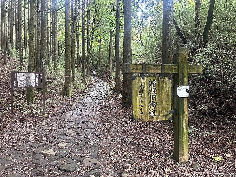 Ancienne route pavée du Tokaido (Hakone)