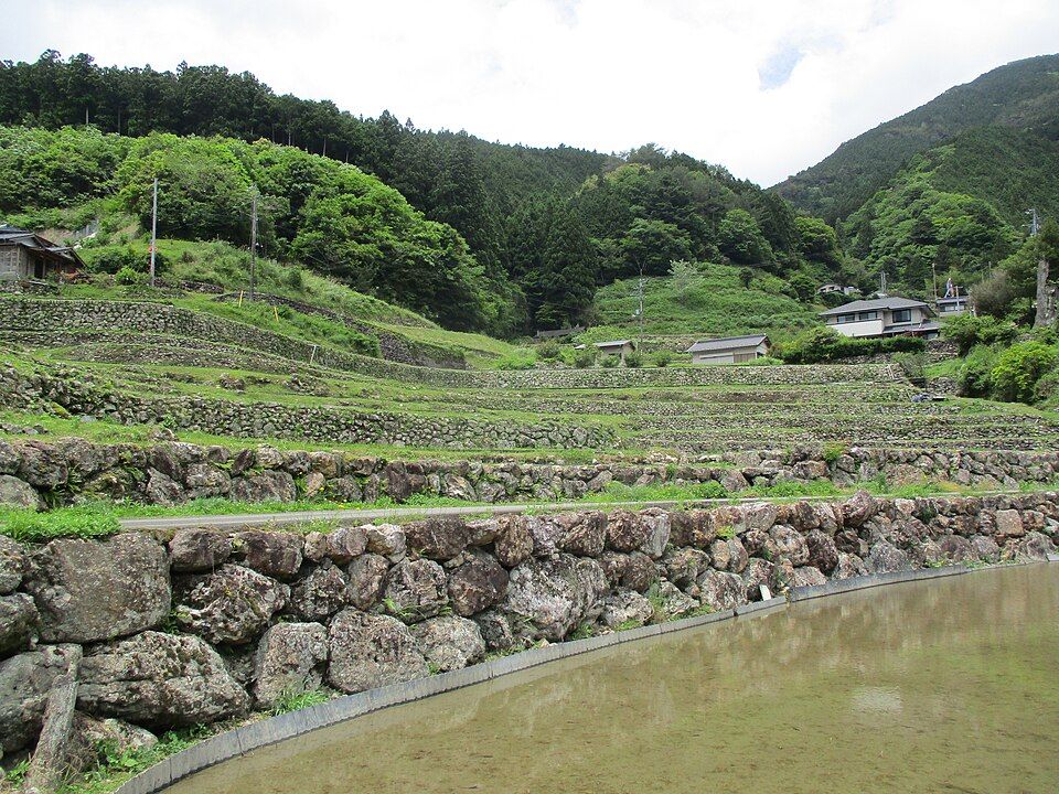 Terrazas de arroz de Kanzaiko (Yusuhara)