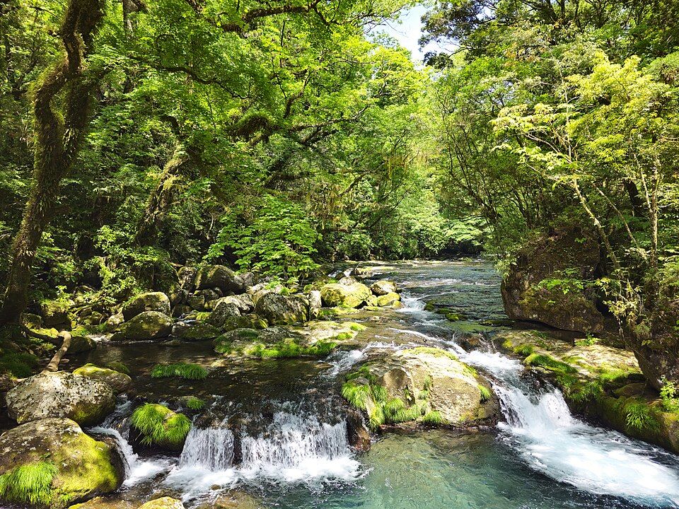 Kikuchi Gorge