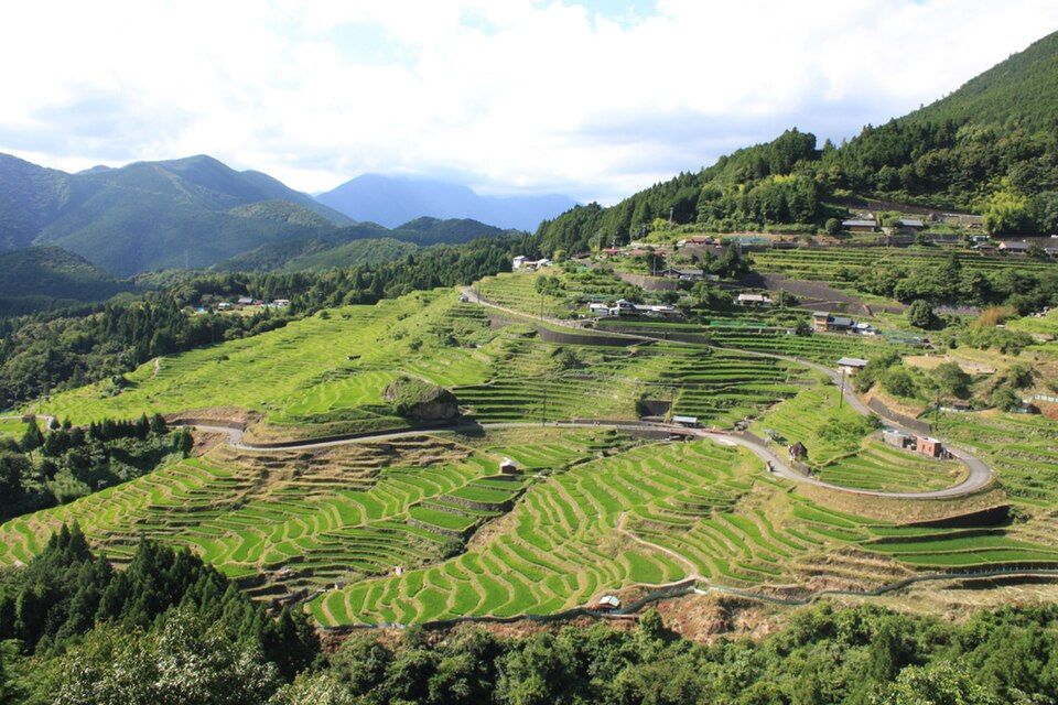 Rizières en terrasses de Maruyama Senmaida