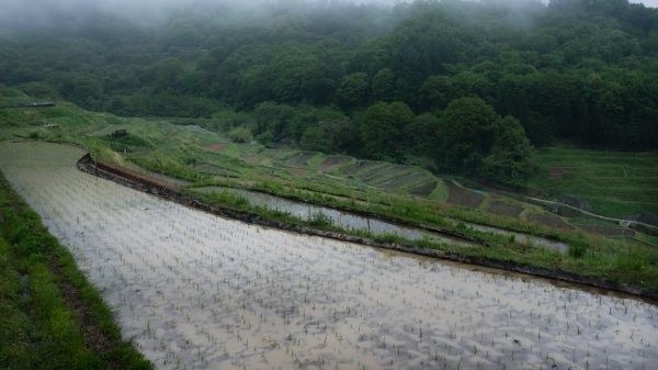 Terrazas de arroz de Inakura