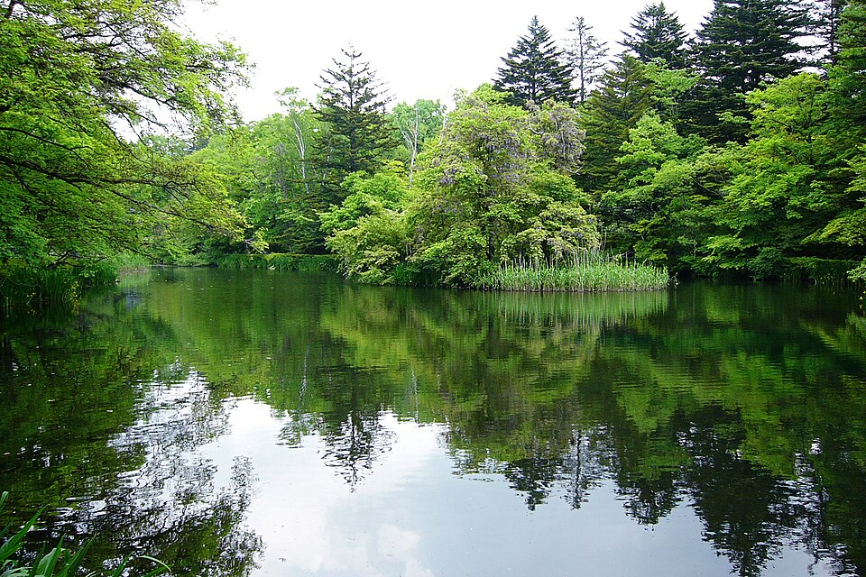 Kumoba Pond