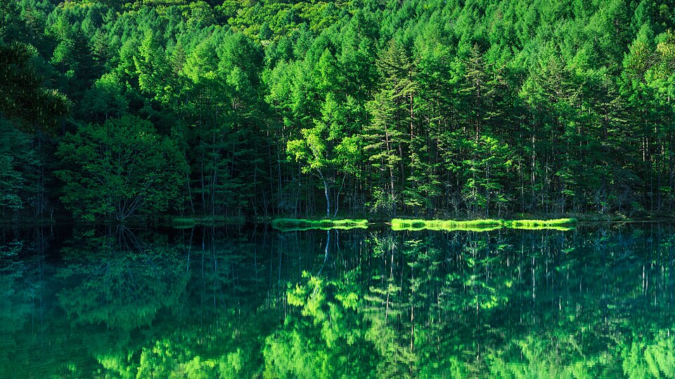 Mishaka Pond