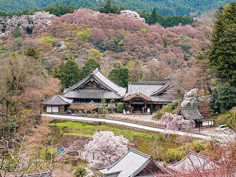 하세데라
