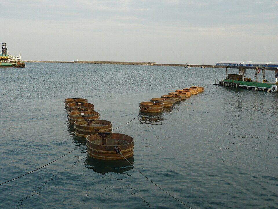 小木的盆舟
