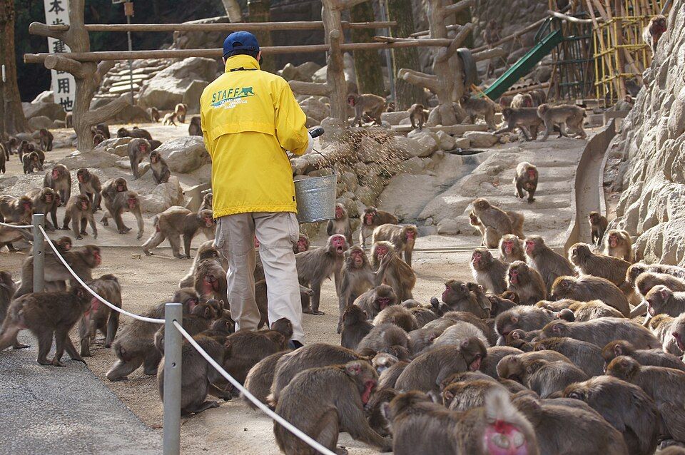 Takasakiyama Natural Zoo