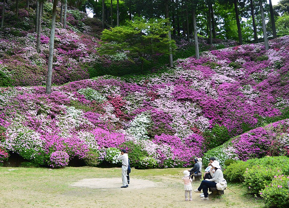 Temple Daikozenji (Tsutsuji-dera)