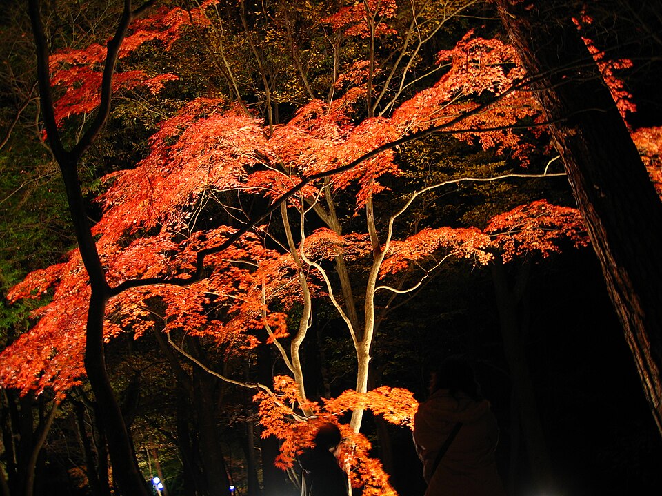 Parc Tsukinoishi Momiji