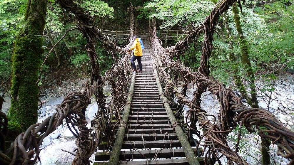 Puentes dobles de lianas de Oku-Iya