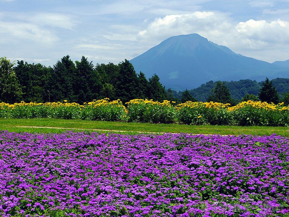 Parque de flores Tottori Hanakairo