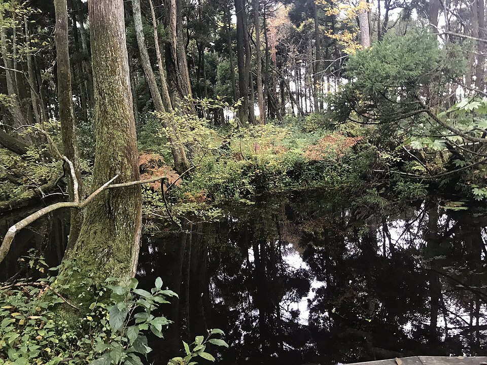 杉泽的泽杉