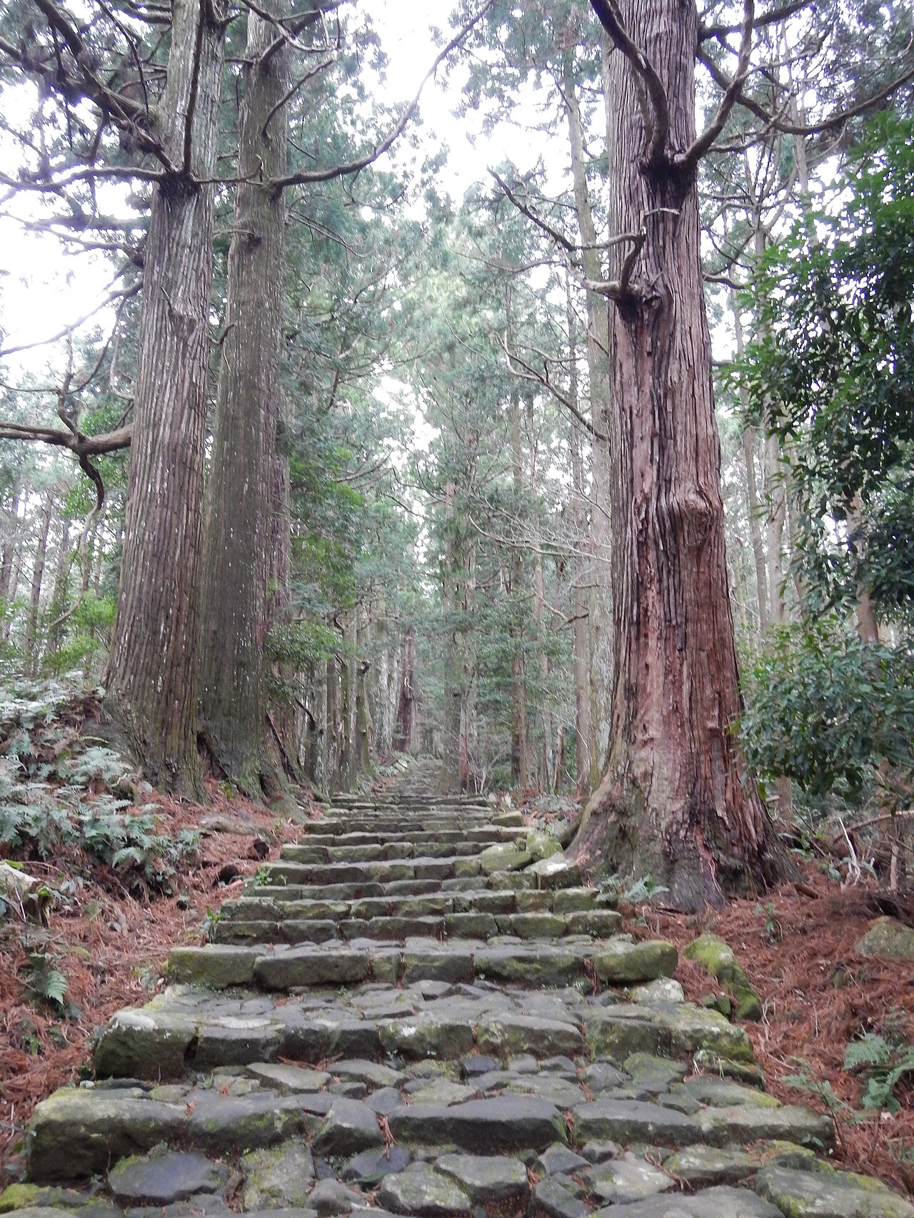 Kumano Kodo – Daimonzaka