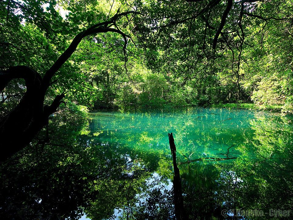Maruike-sama Pond
